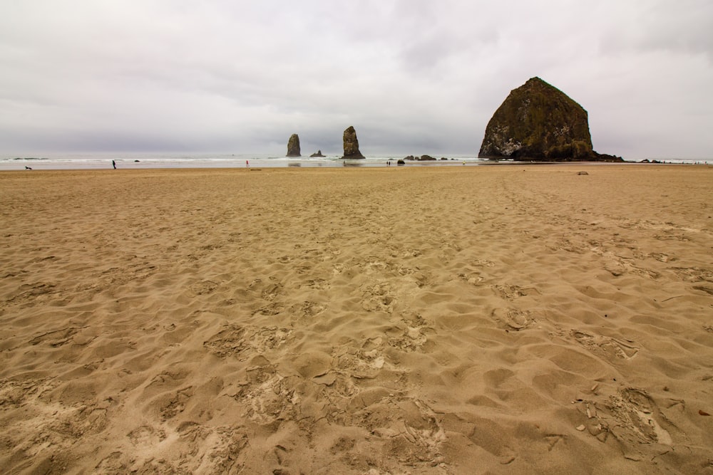 brown sand near body of water during daytime