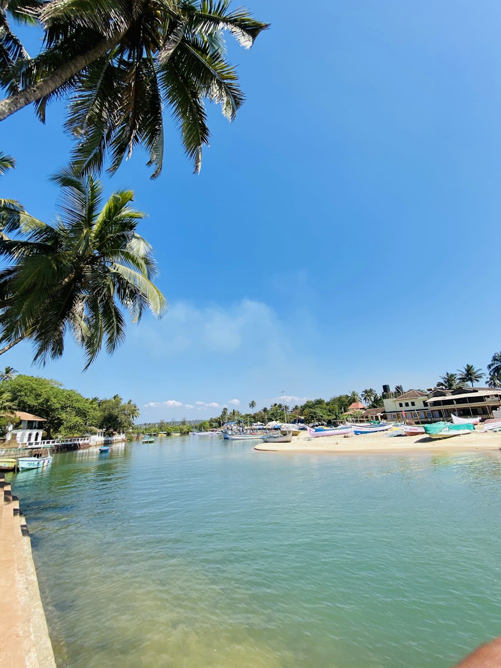 people on beach during daytime