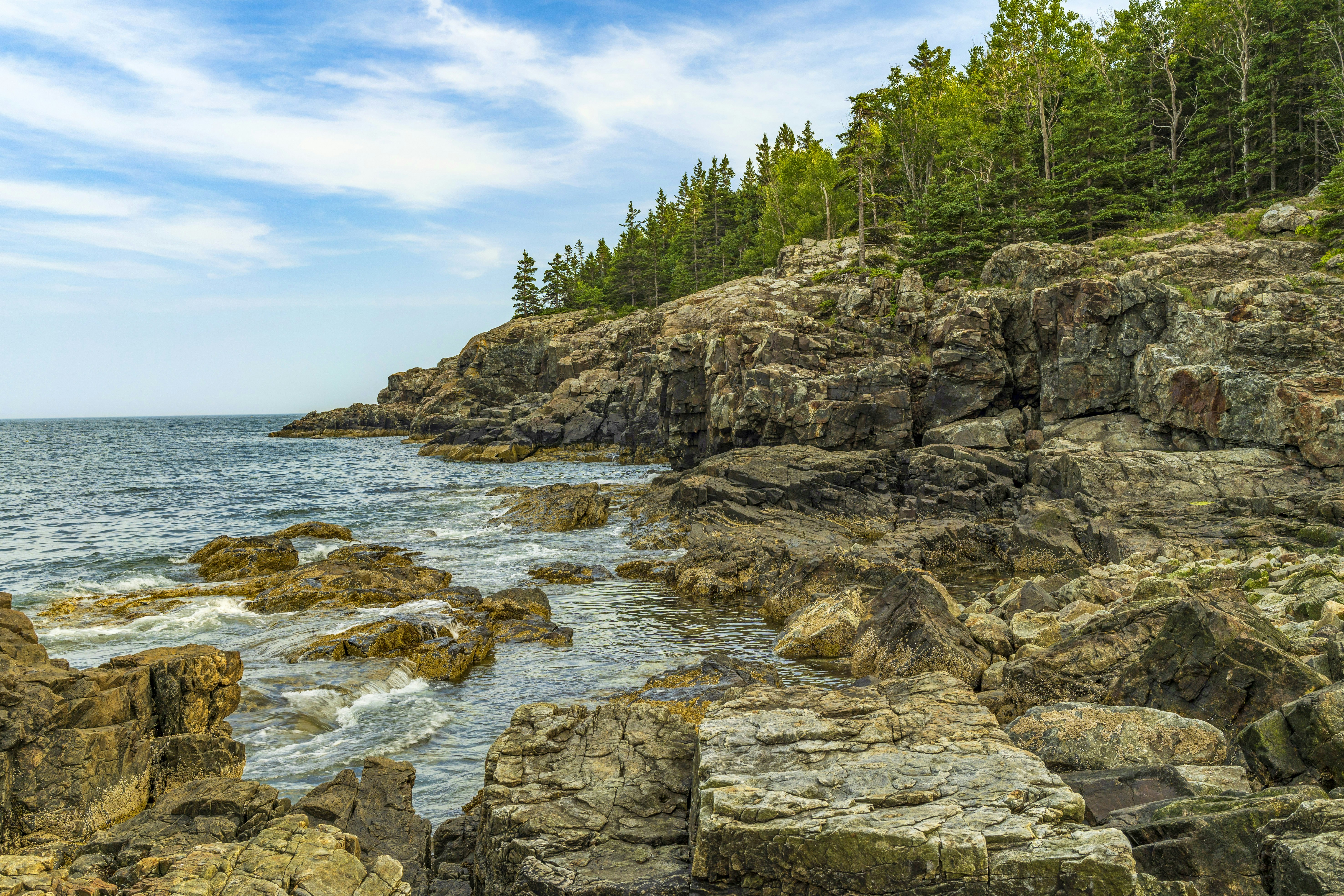 Photo by dapperprofessional