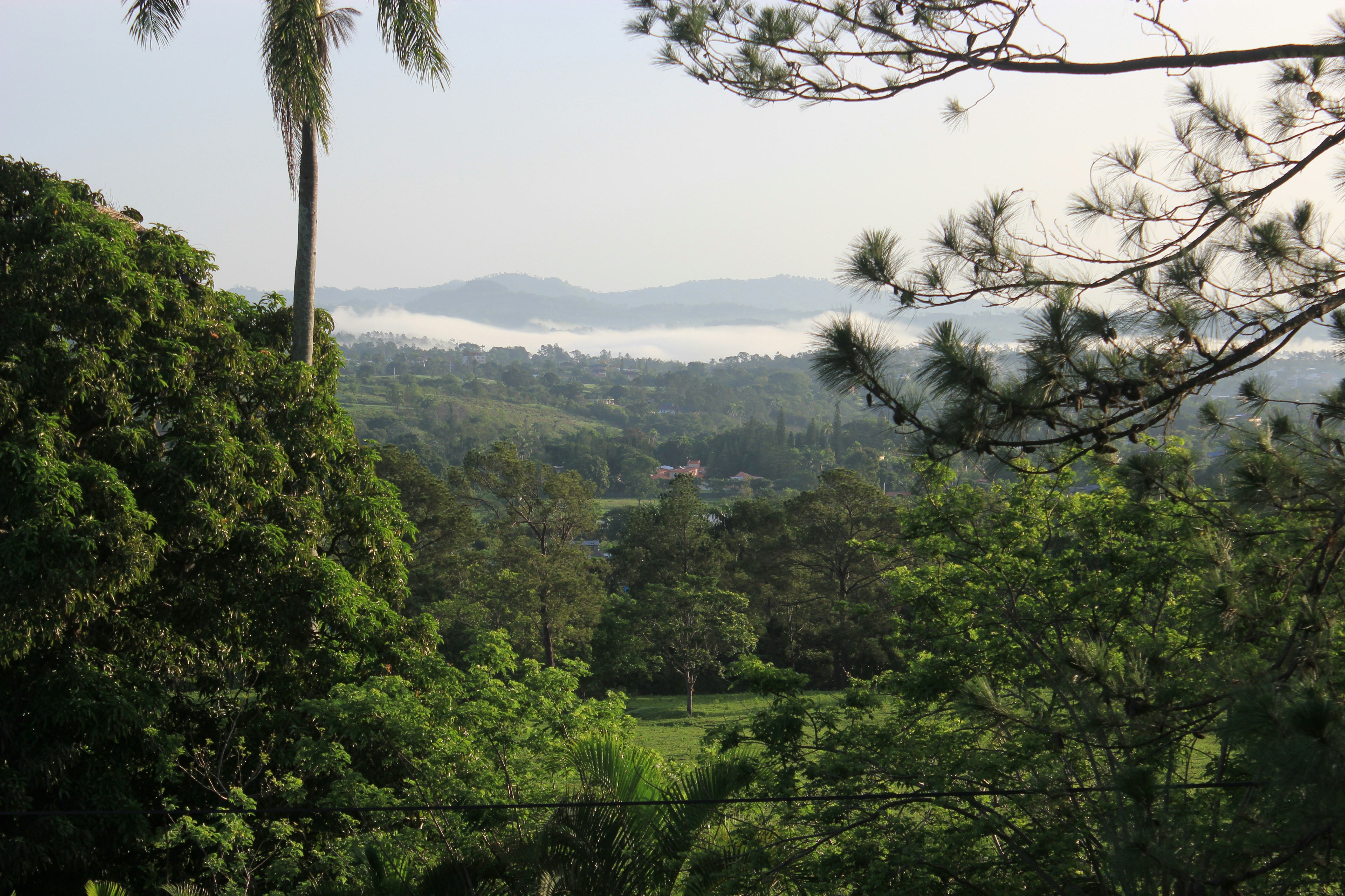 Photo by mrgreatheart