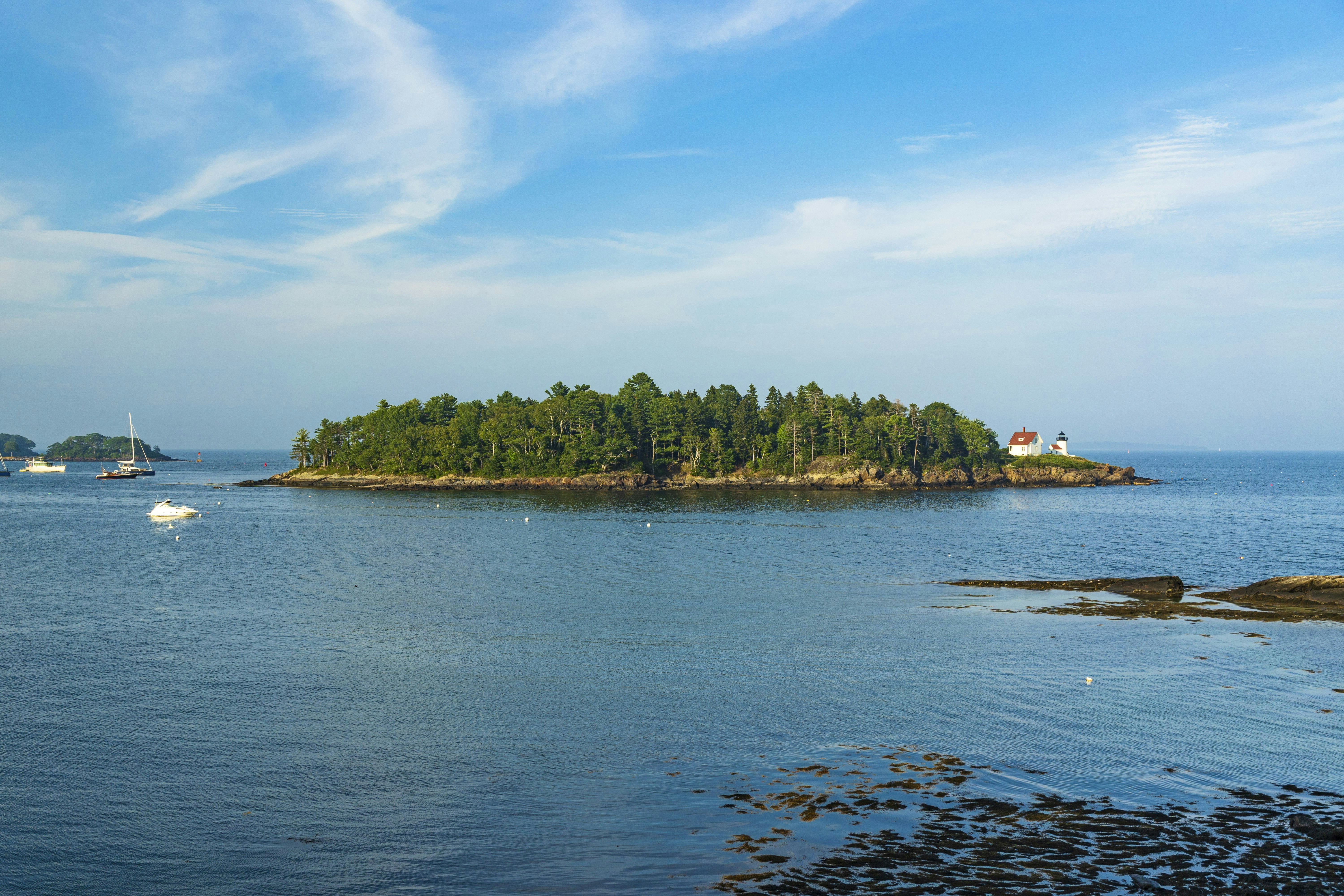 Photo by dapperprofessional