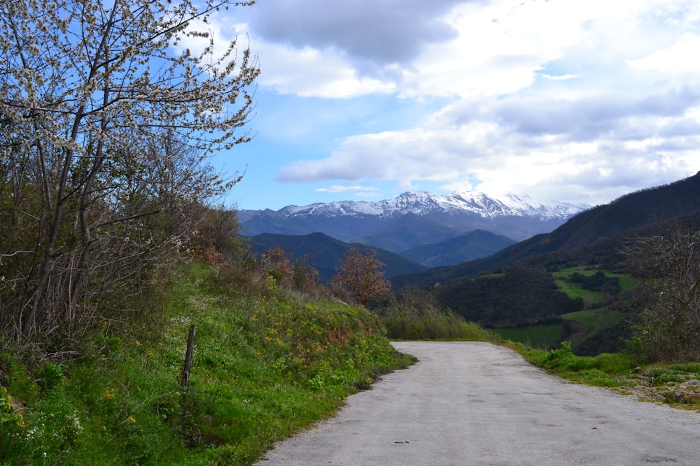 green trees and mountains under white clouds and blue sky during daytime