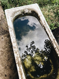 An old bathtub filled with water is positioned outdoors, surrounded by greenery. The water reflects a cloudy sky and the silhouette of tree branches.
