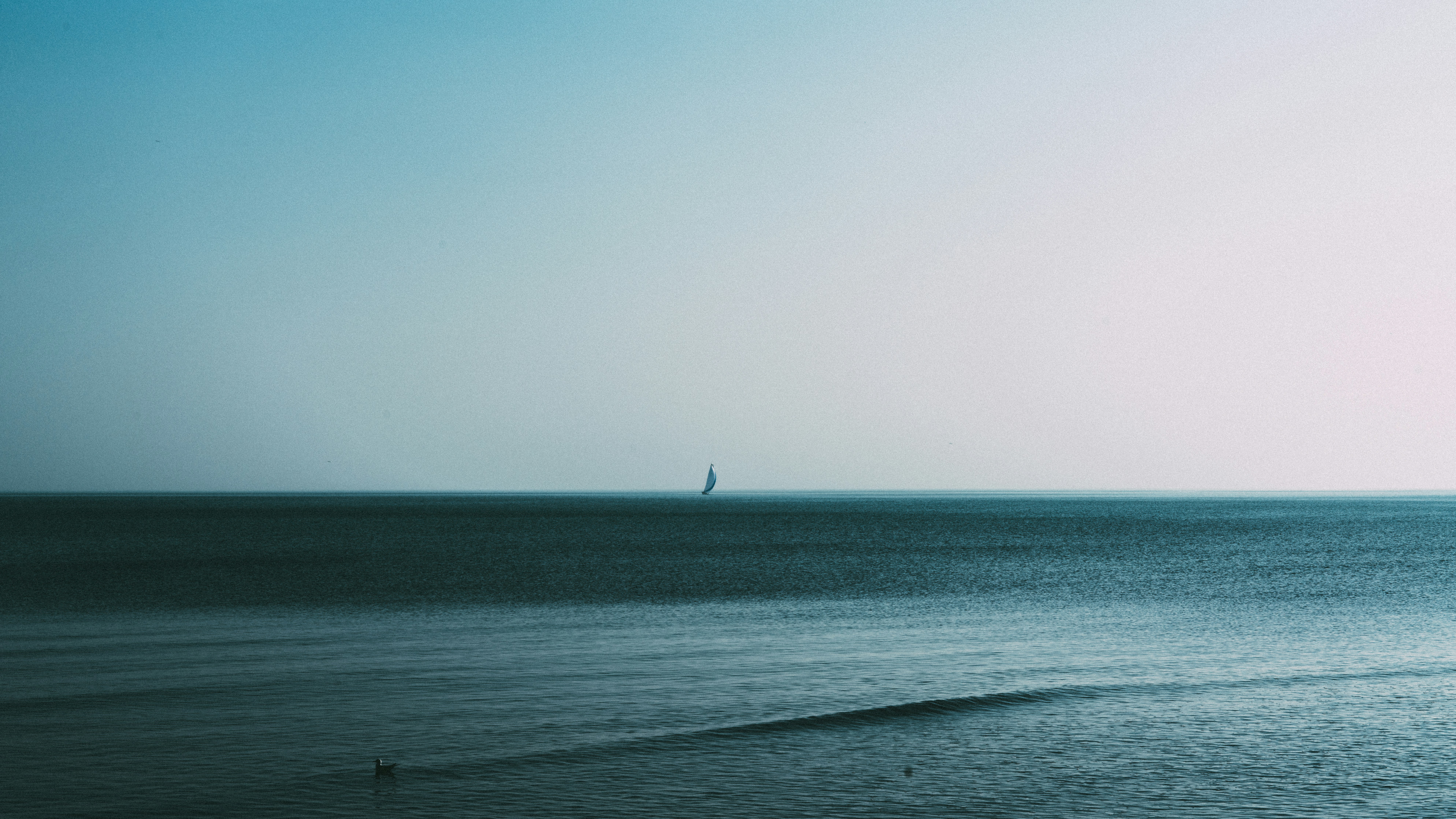 Photo by fogliafilippo