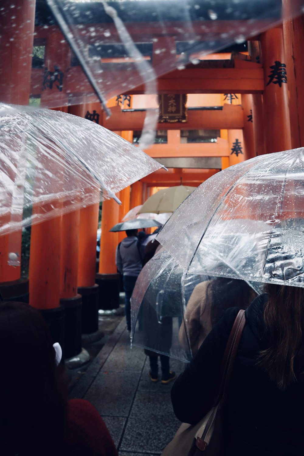 woman in black jacket holding umbrella