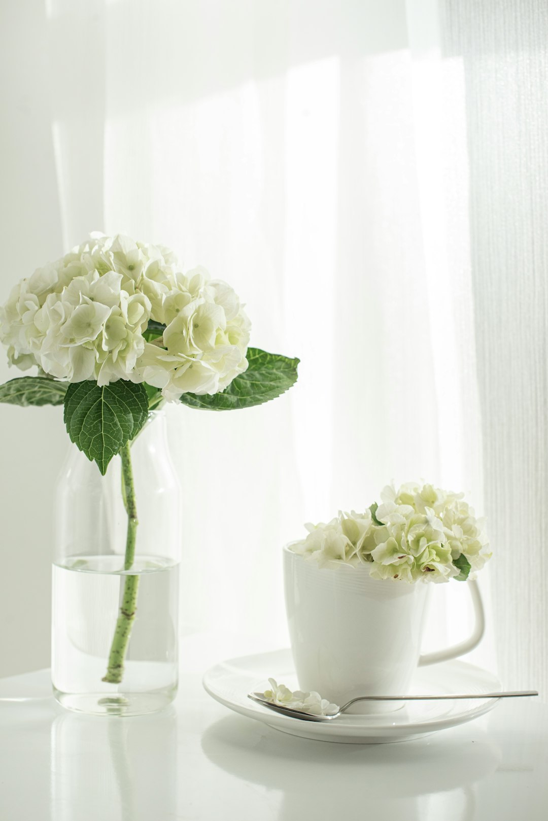 white roses in clear glass vase