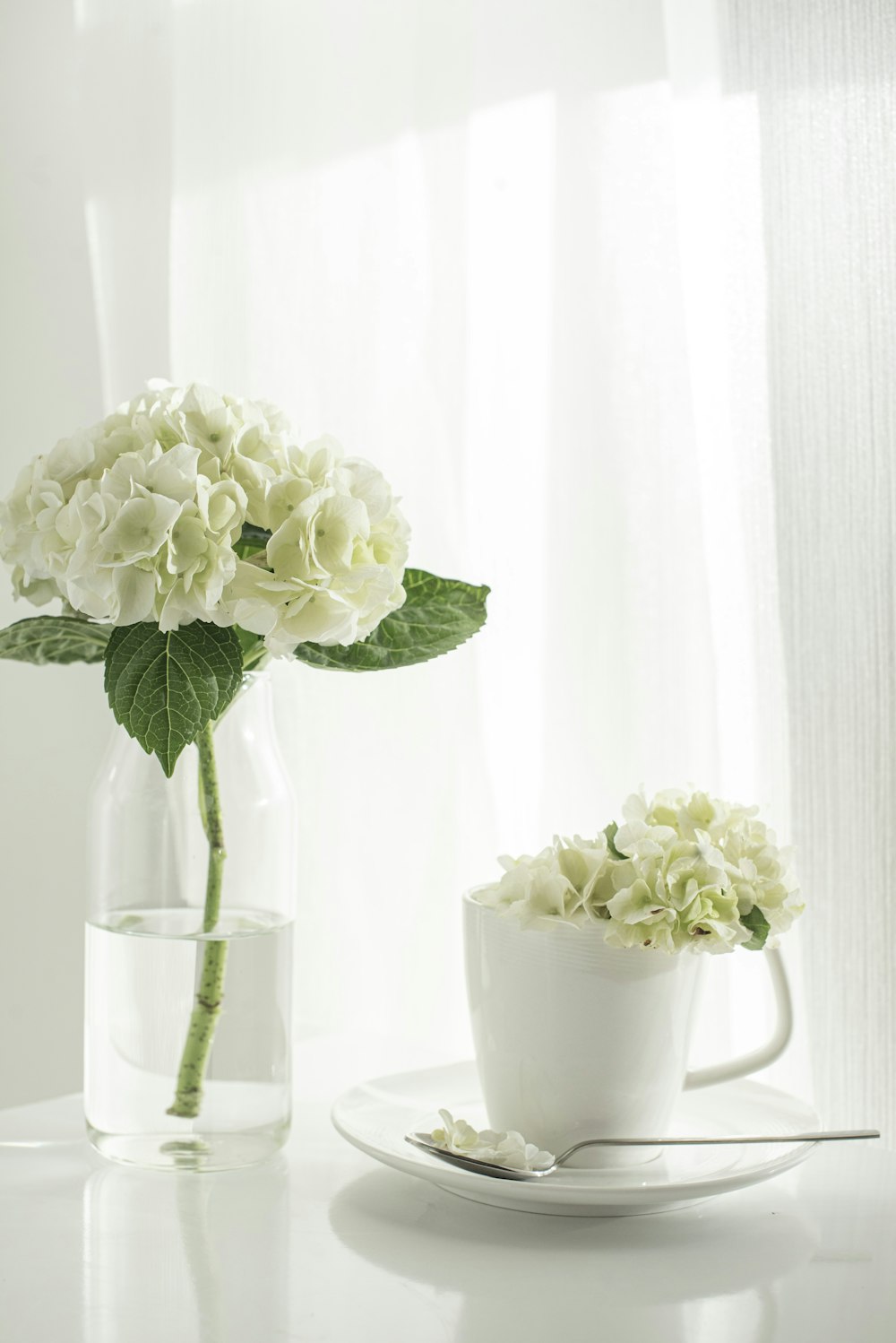 white roses in clear glass vase