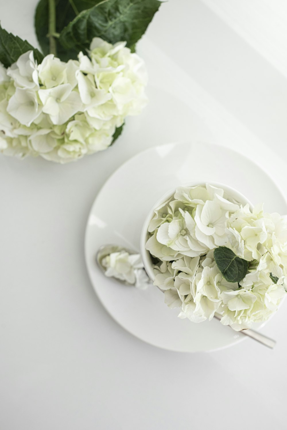 white roses on white ceramic plate