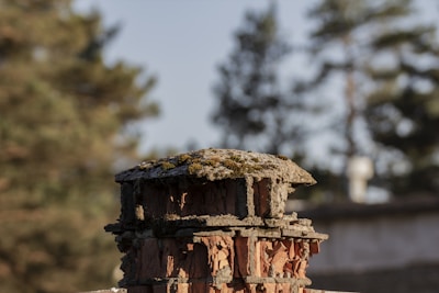 A serene photograph capturing soft light over weathered stone and moss.