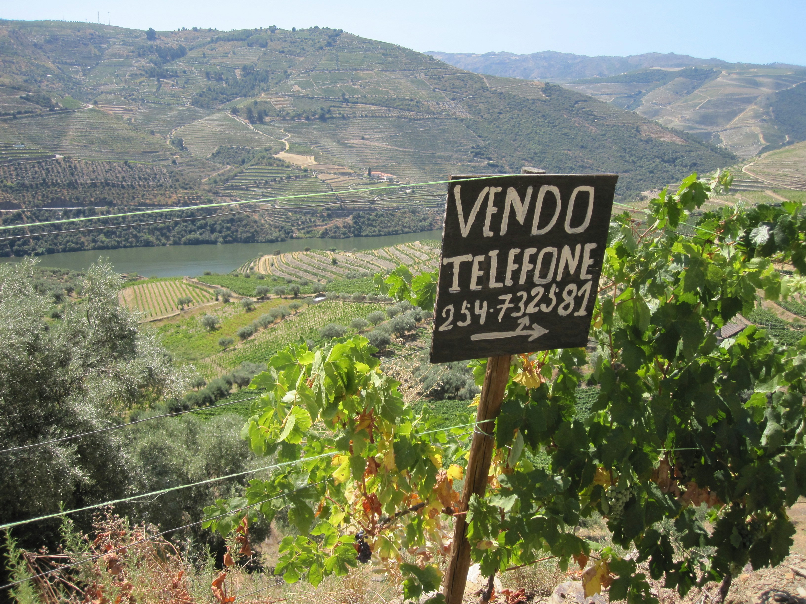 Poster Valdobbiadene