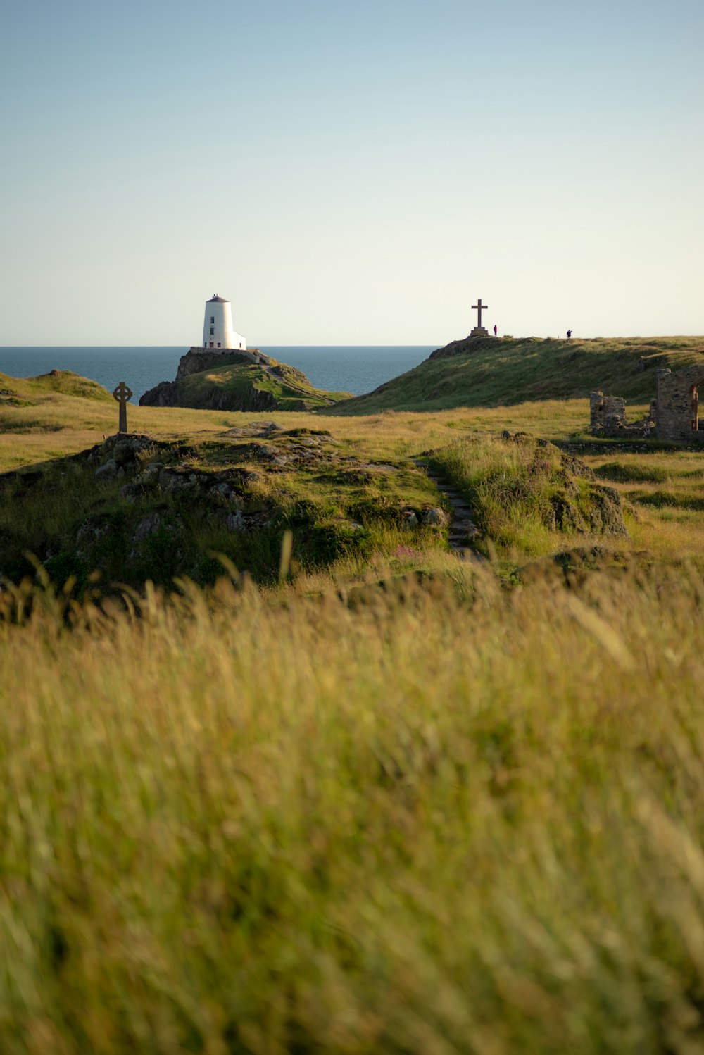 white and black lighthouse on green grass field during daytime