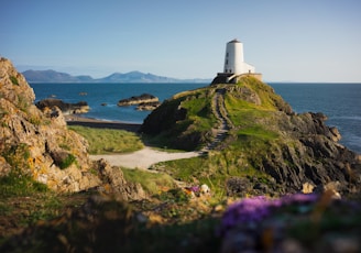 white lighthouse on green grass field near body of water during daytime