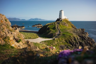 white lighthouse on green grass field near body of water during daytime