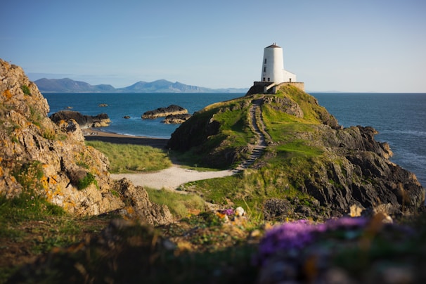white lighthouse on green grass field near body of water during daytime