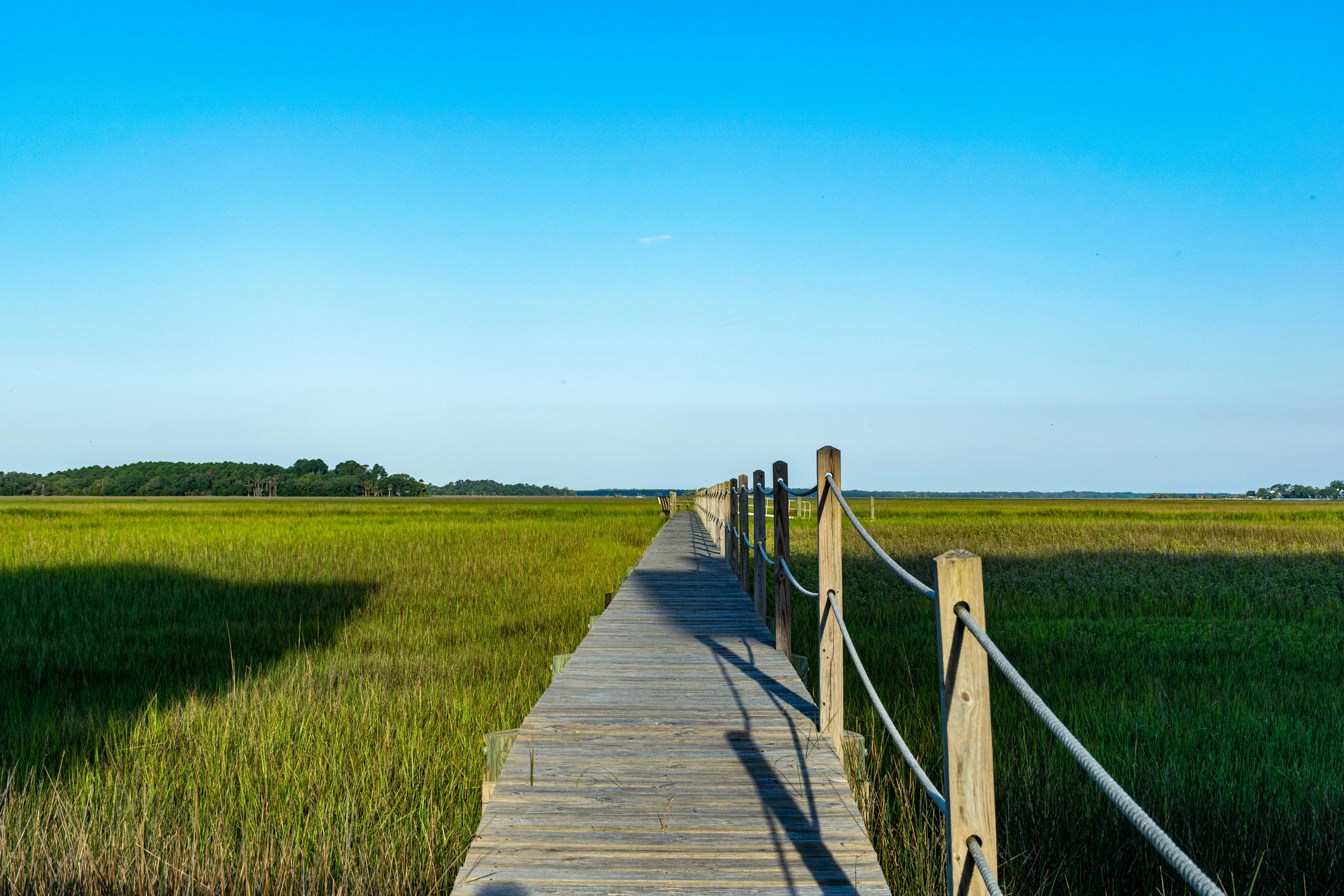 Photo by wshill_storywitch