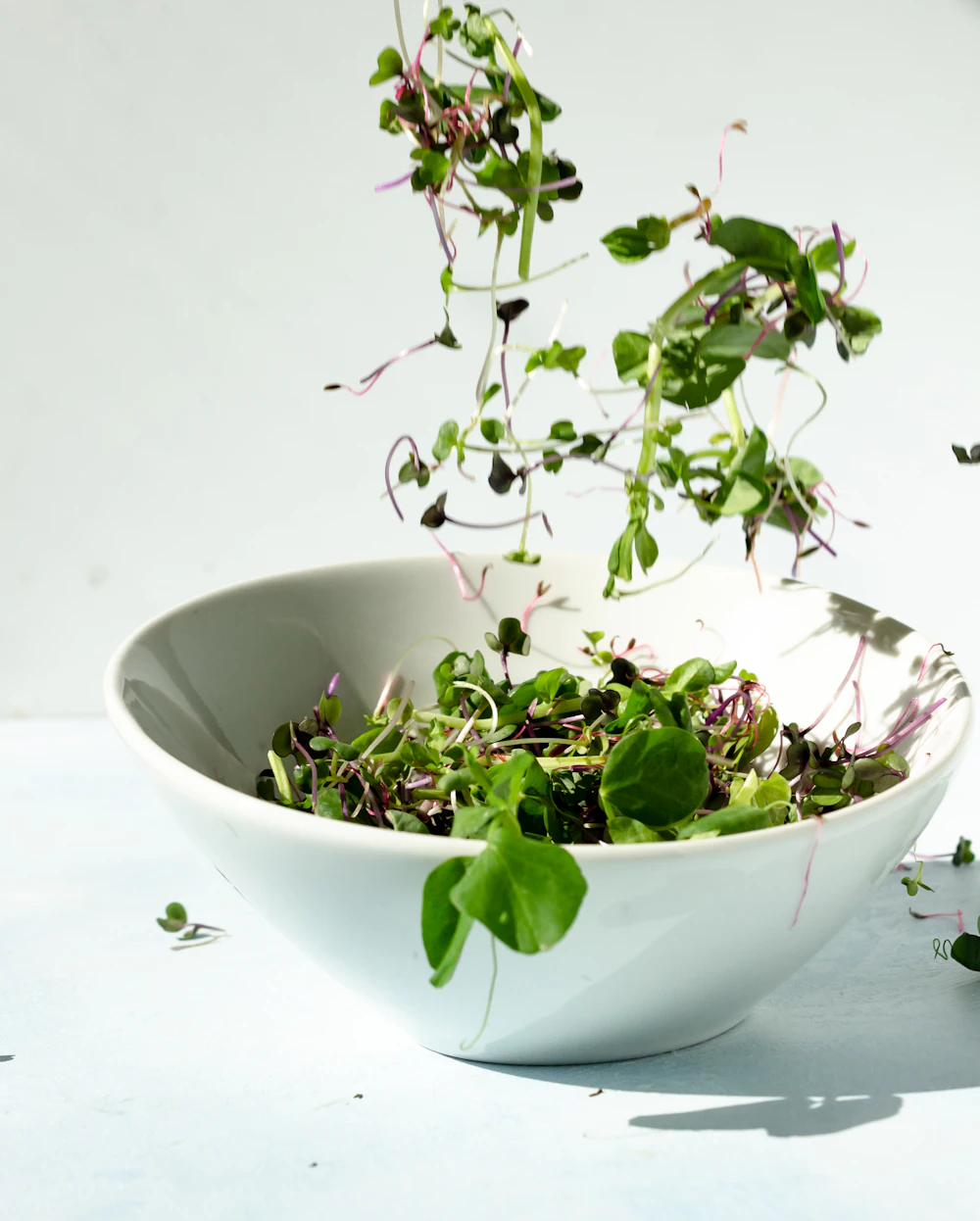 Fresh colorful organic microgreens in a bowl, ready for delivery