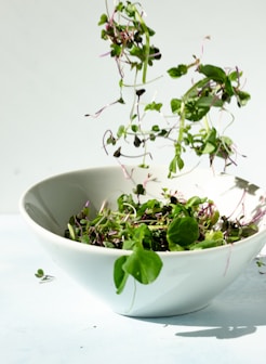 green plant on white ceramic bowl