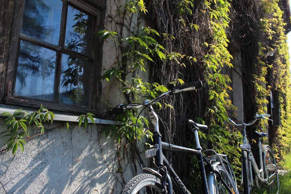black bicycle parked beside window
