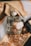 A perfume bottle labeled 'ZARA ETERNAL SPRING' is positioned on ornate fabric with intricate gold and brown patterns. A delicate white flower is attached to the corner of the bottle, adding a touch of elegance.