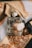 A perfume bottle labeled 'ZARA ETERNAL SPRING' is positioned on ornate fabric with intricate gold and brown patterns. A delicate white flower is attached to the corner of the bottle, adding a touch of elegance.