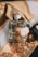 A perfume bottle labeled 'ZARA ETERNAL SPRING' is positioned on ornate fabric with intricate gold and brown patterns. A delicate white flower is attached to the corner of the bottle, adding a touch of elegance.
