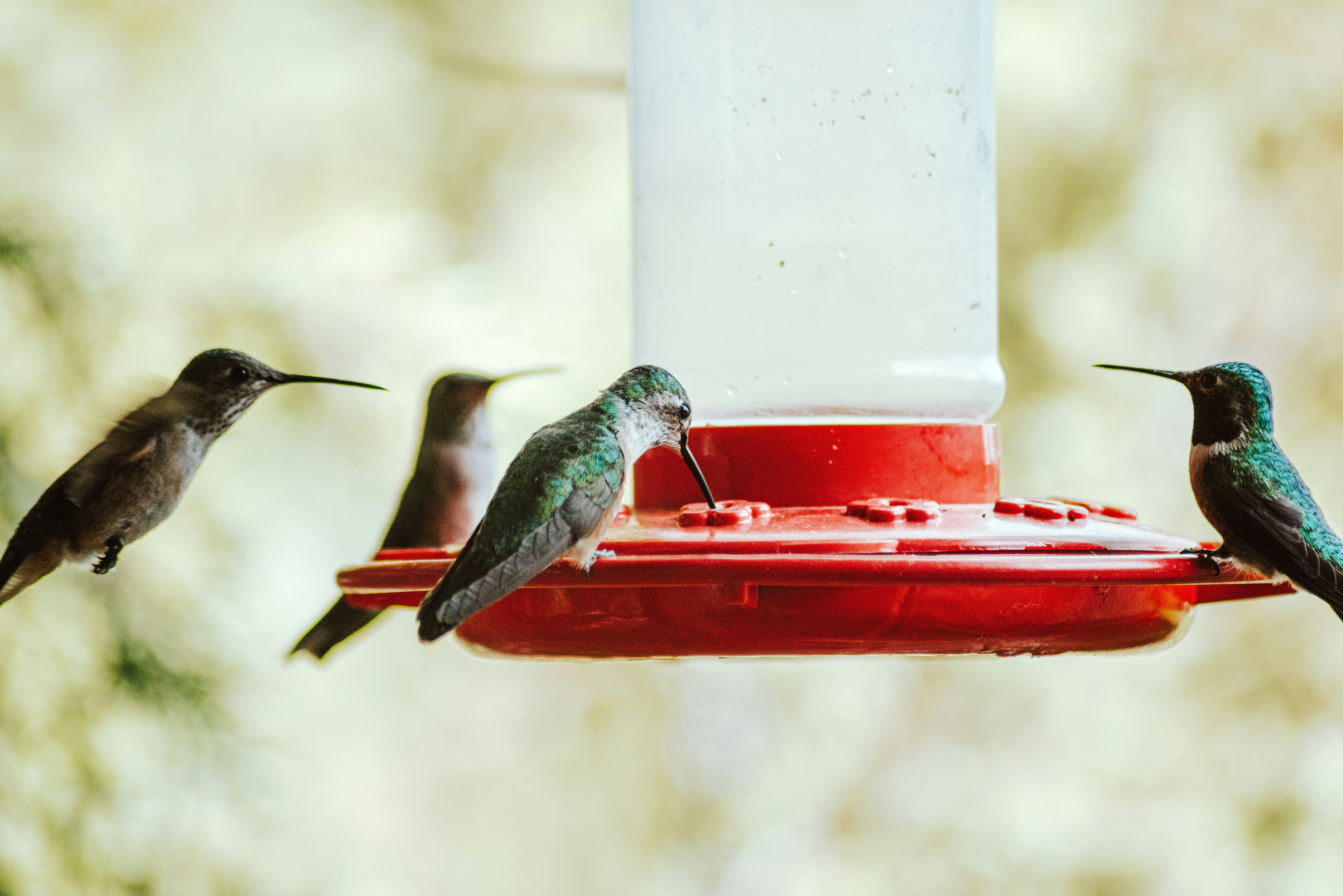 Photo by seitamaaphotography