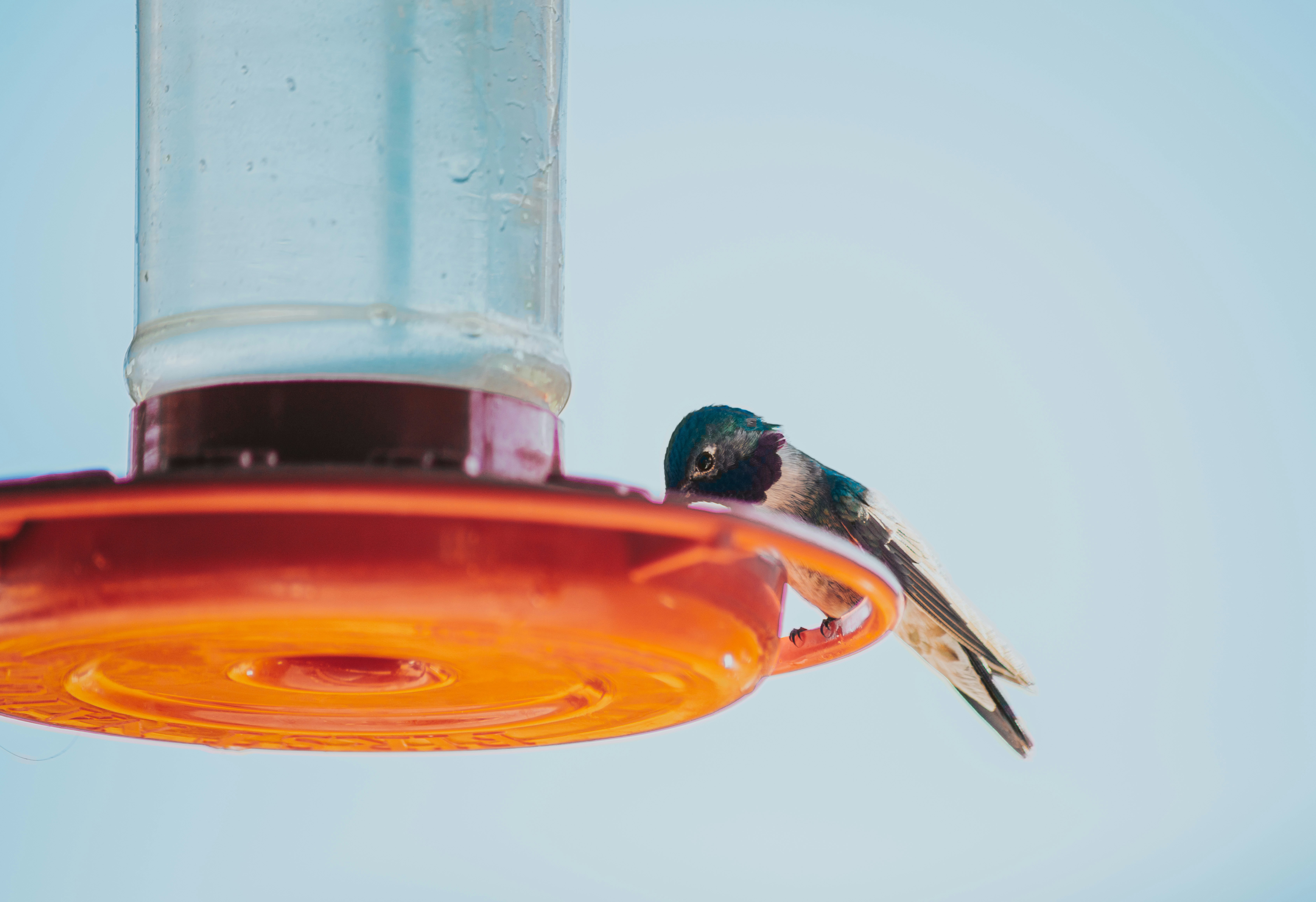 Photo by seitamaaphotography