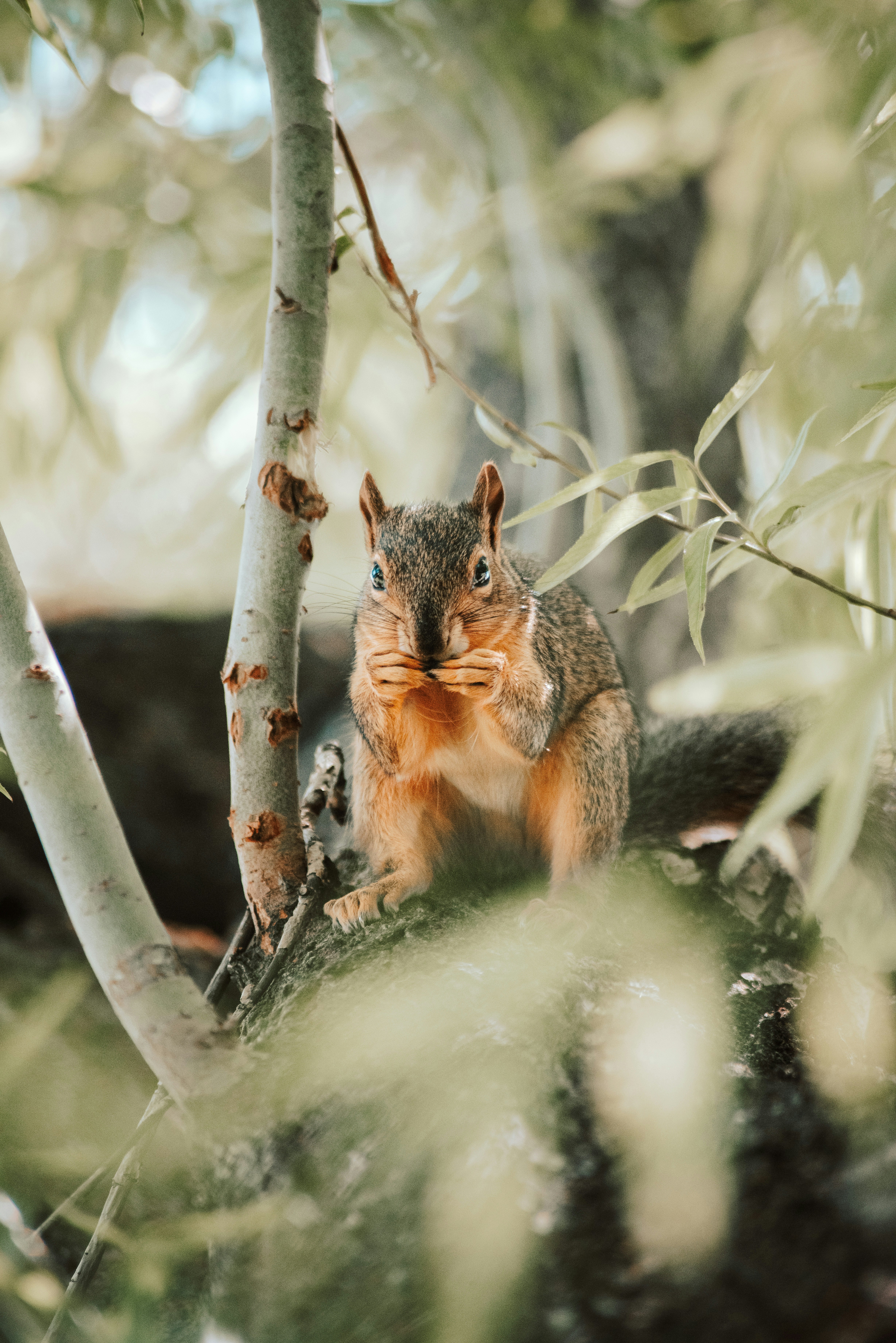 Photo by seitamaaphotography