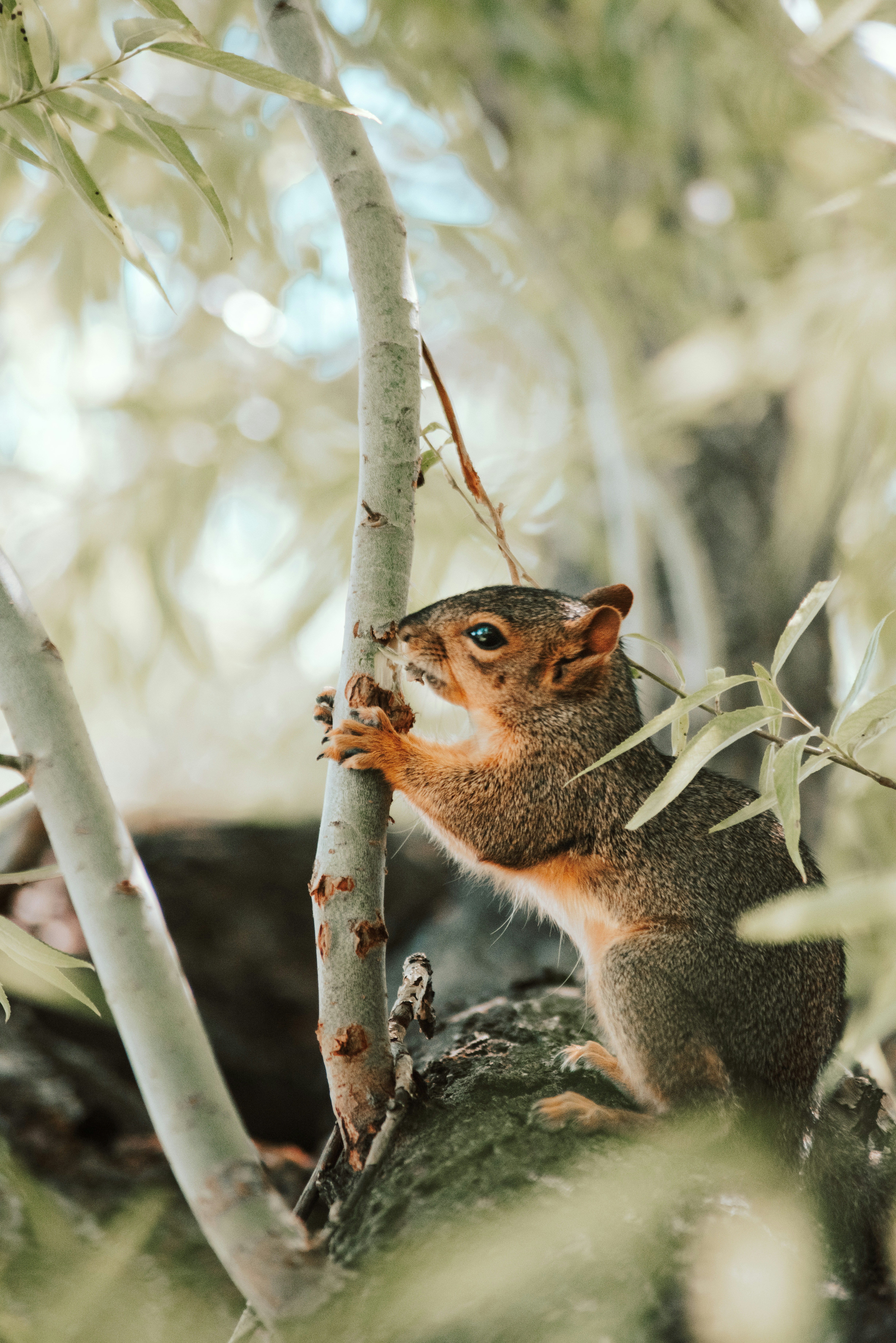 Photo by seitamaaphotography