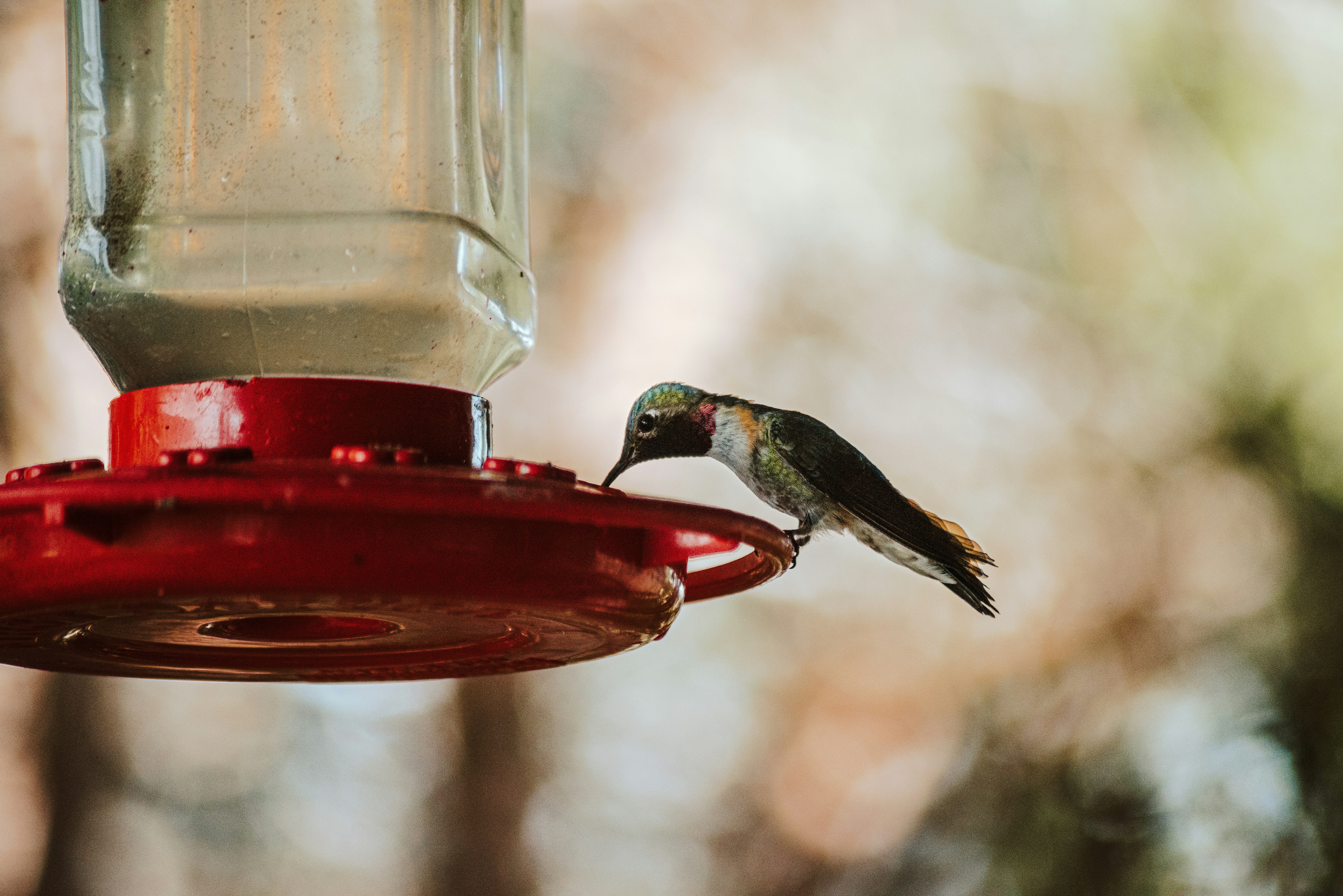 Photo by seitamaaphotography