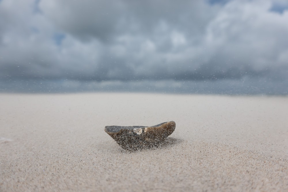 brown and black stone on white sand during daytime