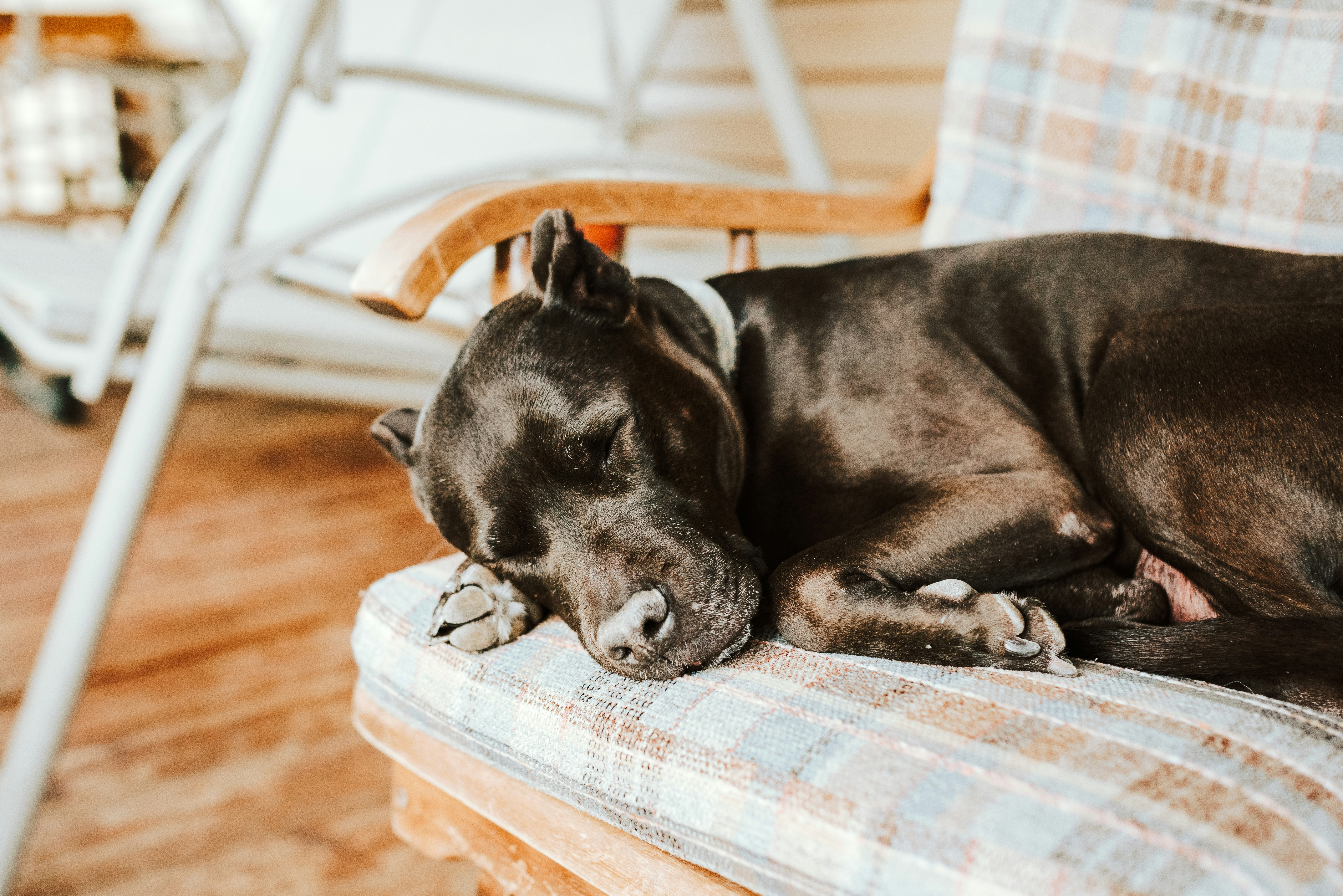 Photo by seitamaaphotography