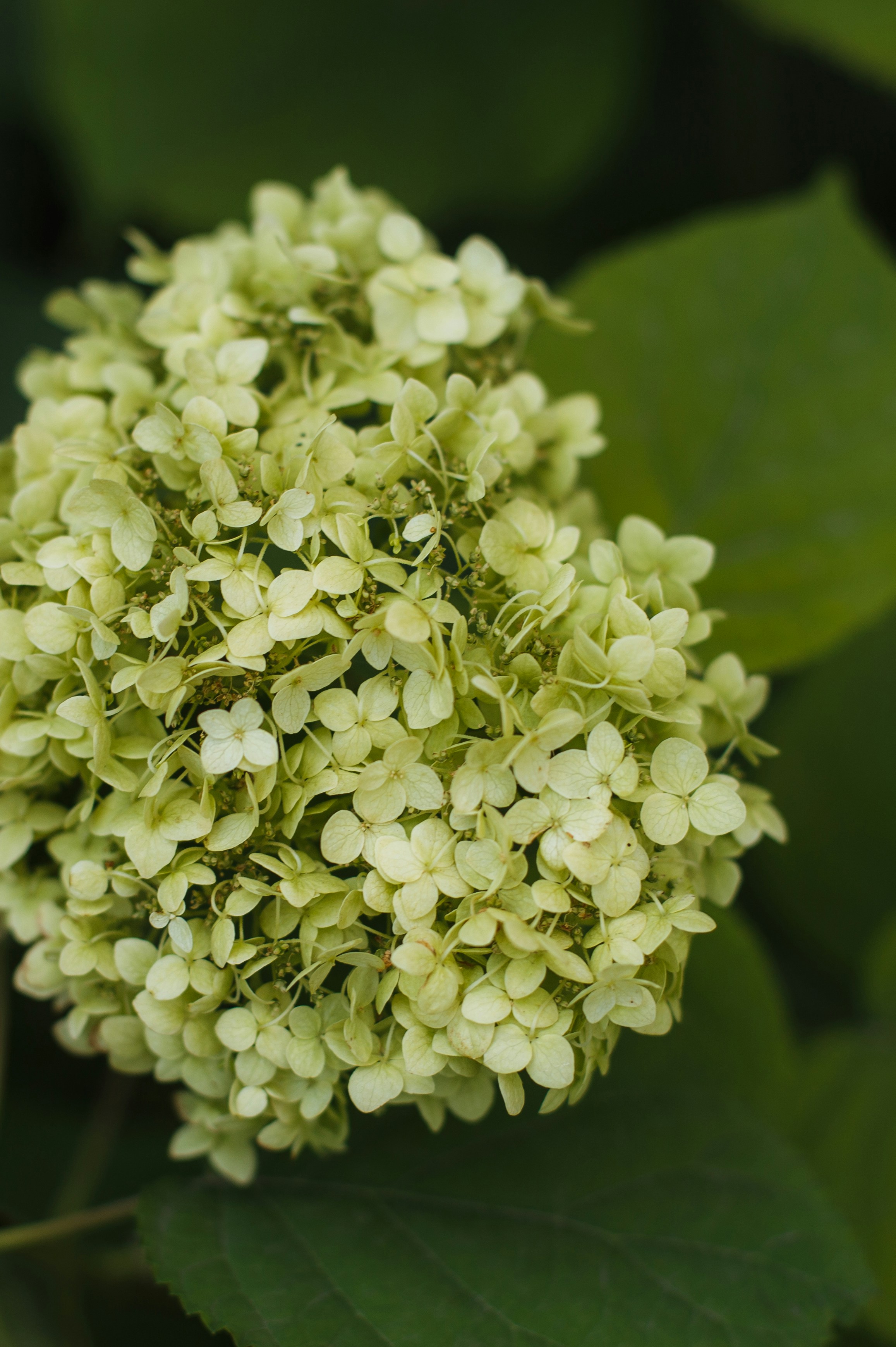 Photo by yulia_dubyna