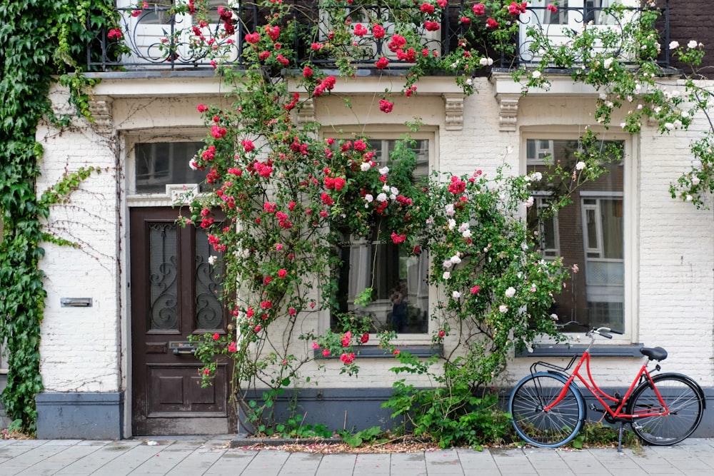 red and green flowers on bicycle