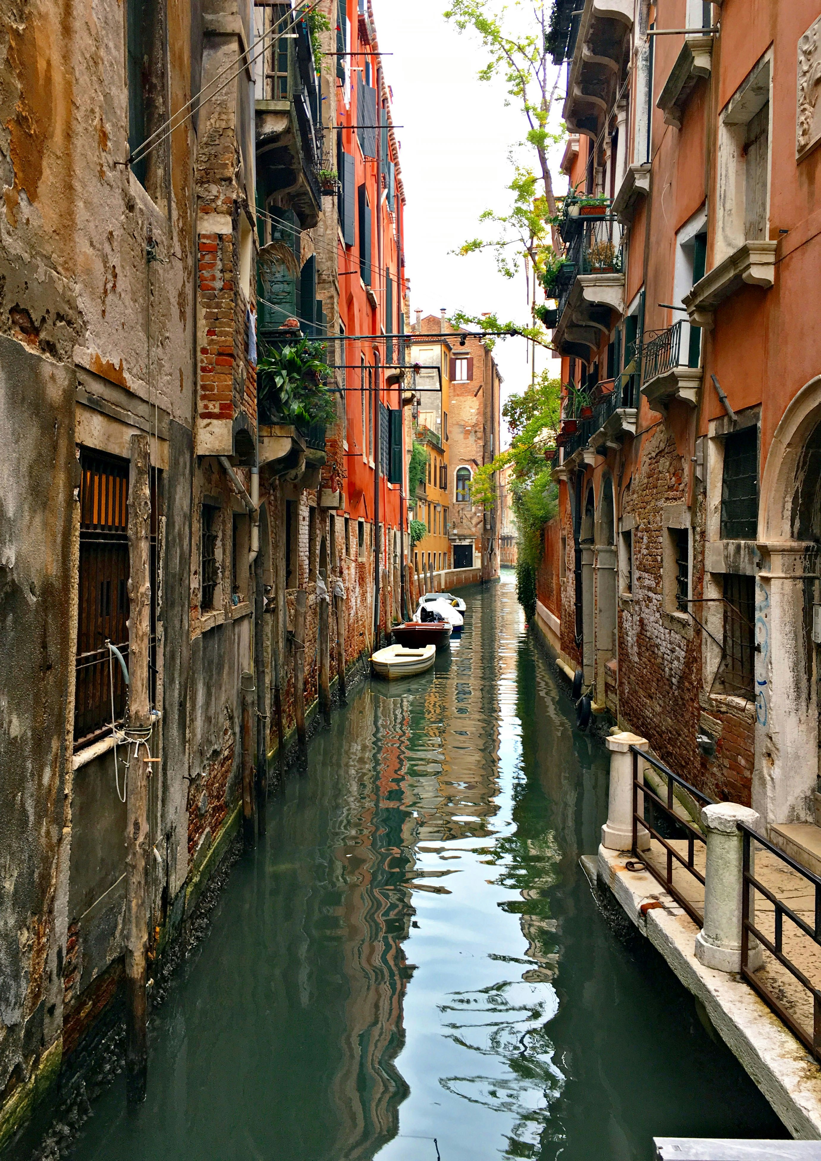 Photo by lindylou103