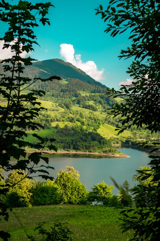 green trees near lake under blue sky during daytime in Lacul Poiana Rusca Romania