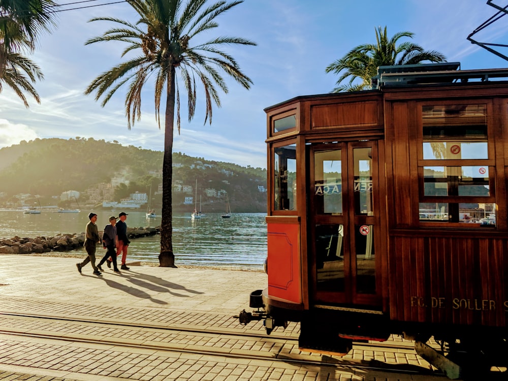 people walking on wooden dock near body of water during daytime