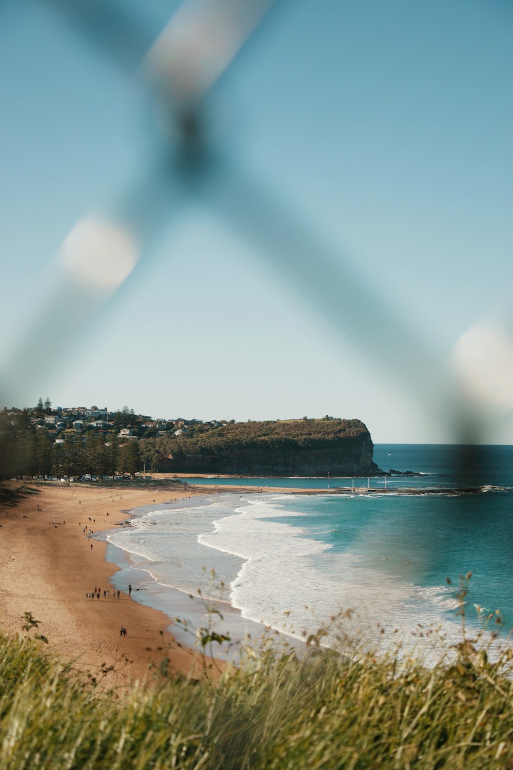 people on beach during daytime