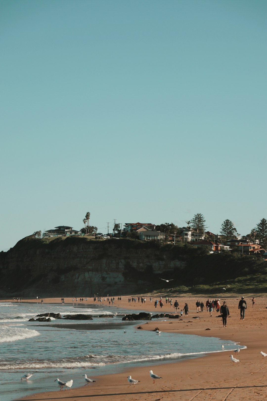 travelers stories about Beach in Mona Vale Beach, Australia