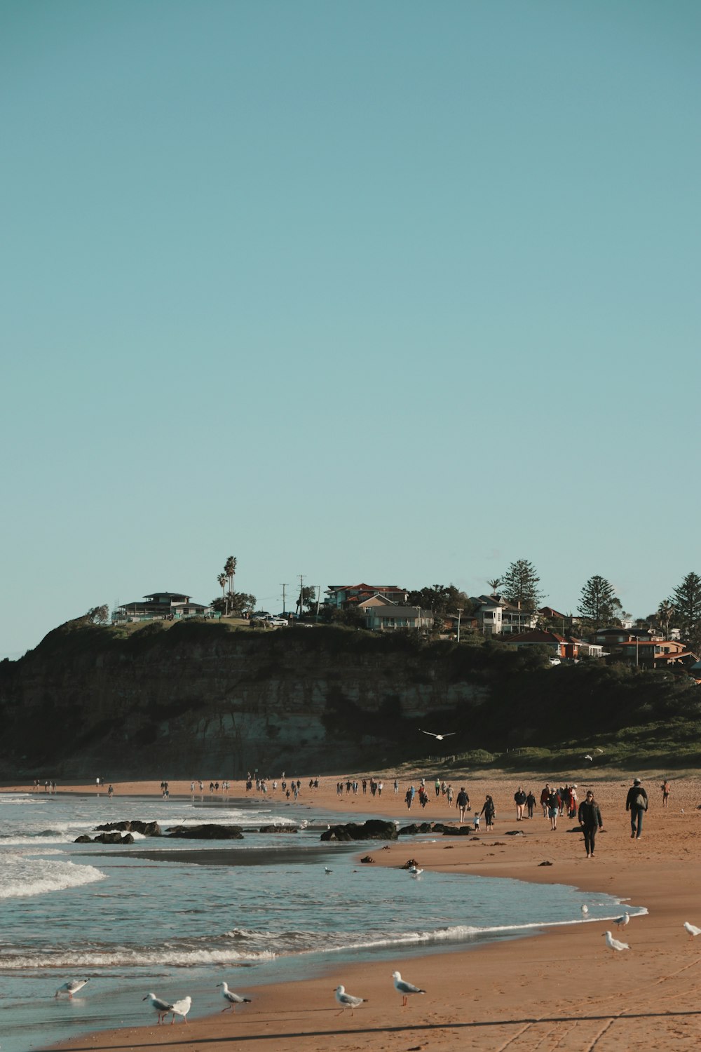 people walking on beach during daytime