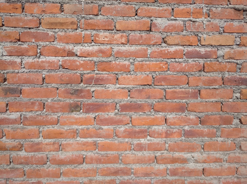 brown and white brick wall