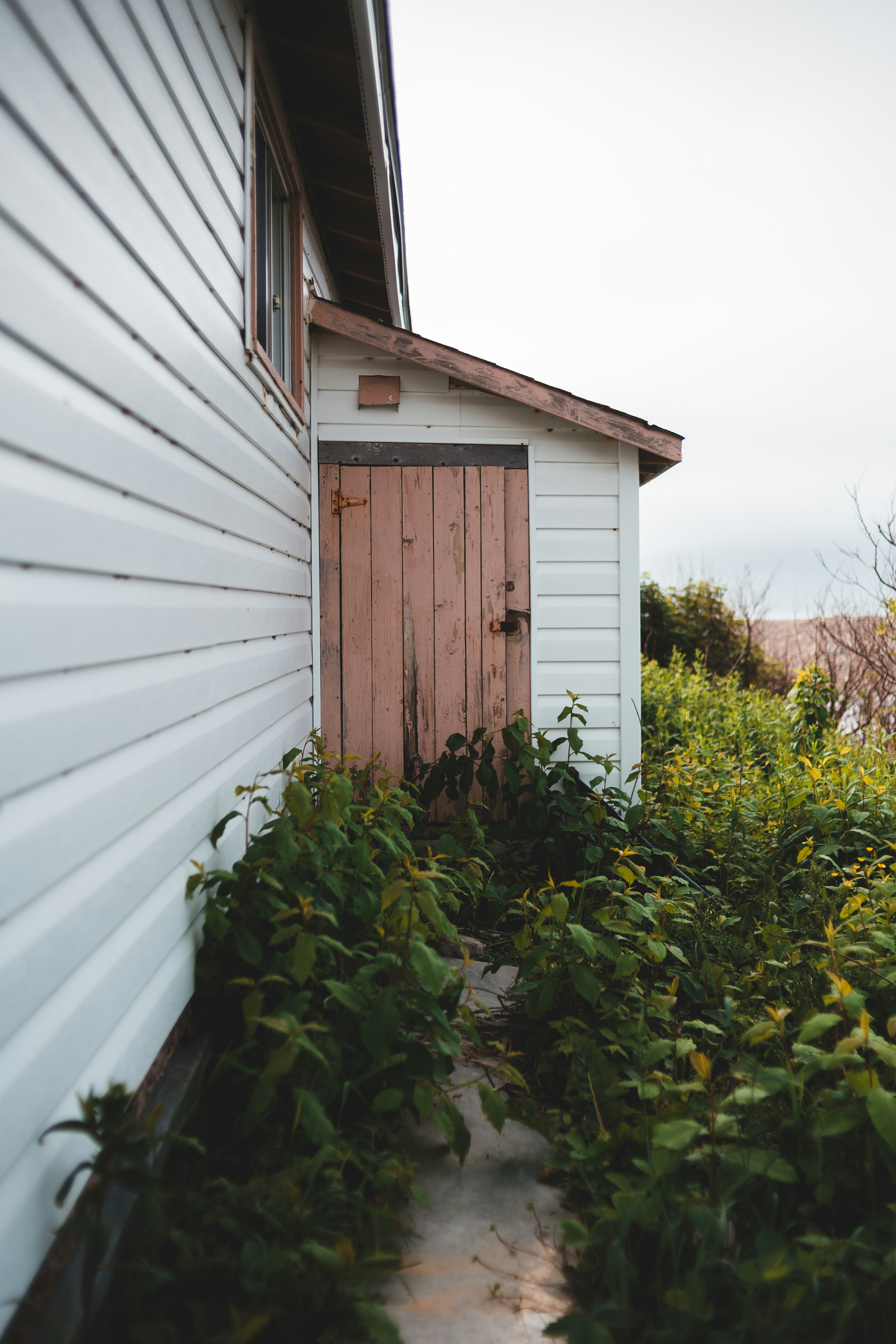 Photo by introspectivedsgn