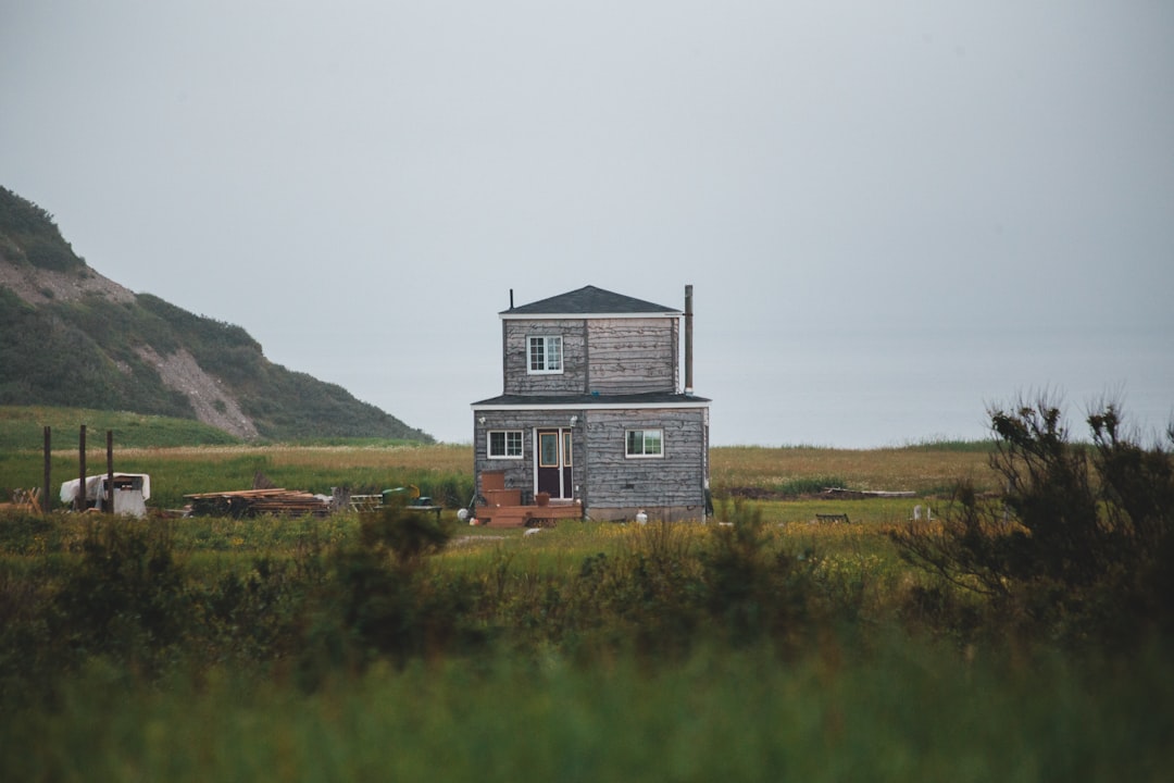 white and gray house on green grass field near body of water during daytime