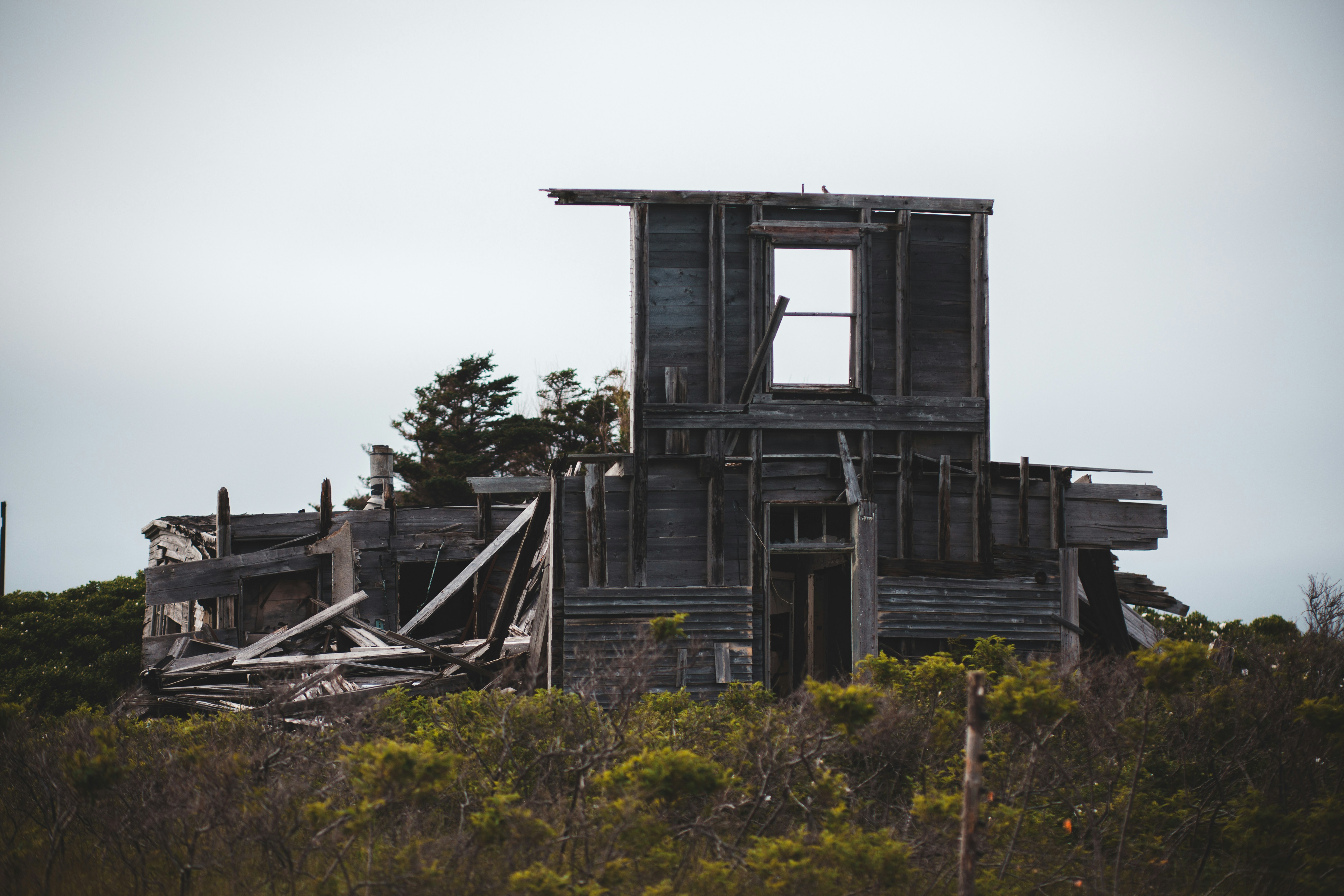 Photo by introspectivedsgn