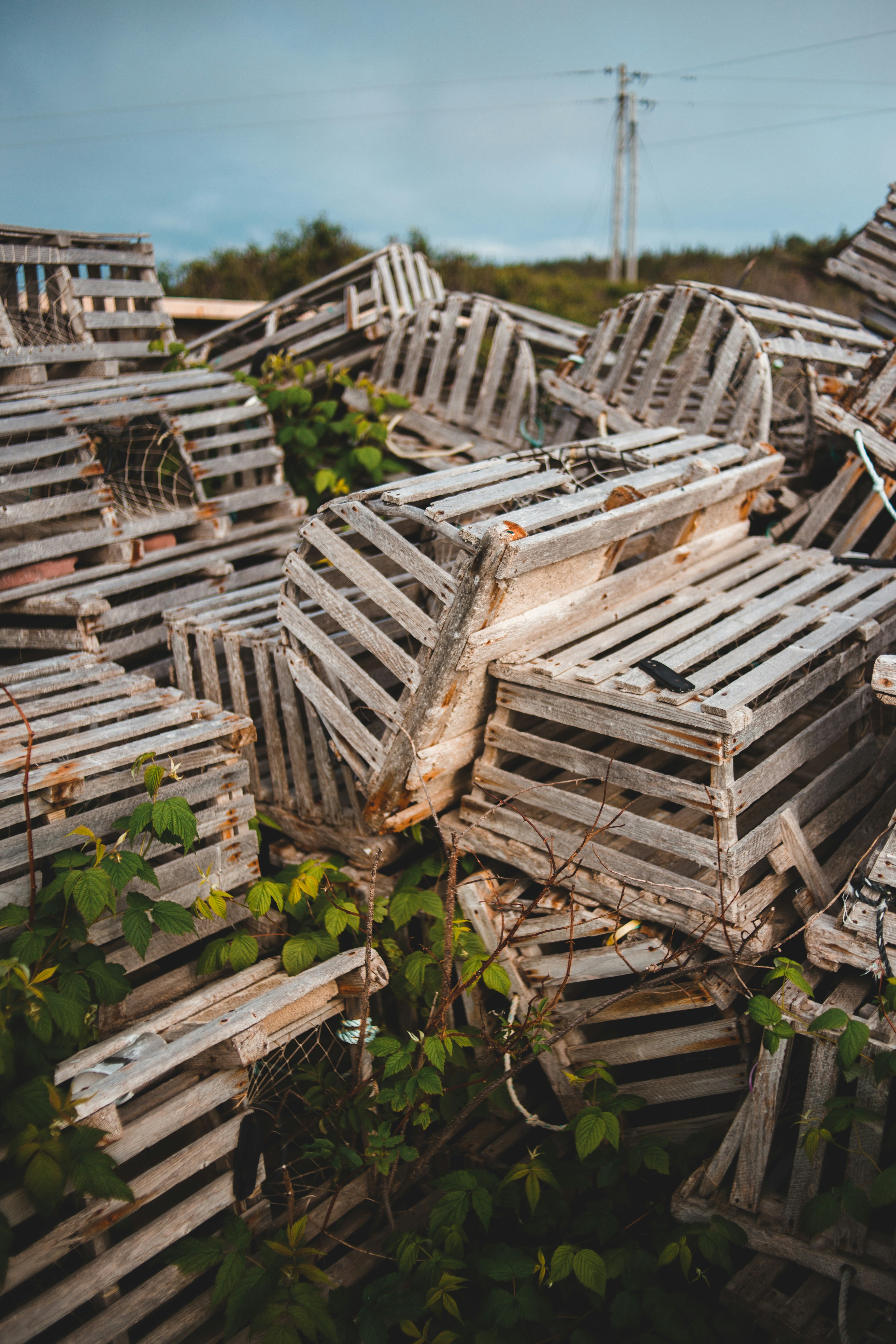 Photo by introspectivedsgn