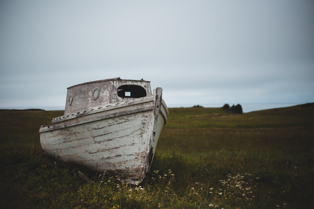 white and black boat on green grass field under white sky during daytime