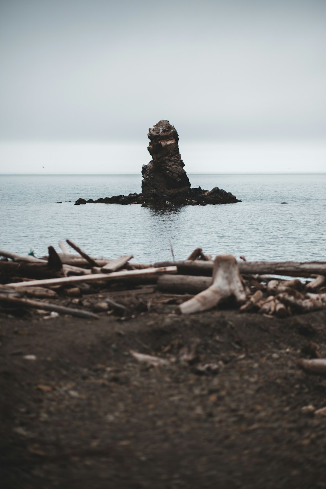 brown rocks on seashore during daytime