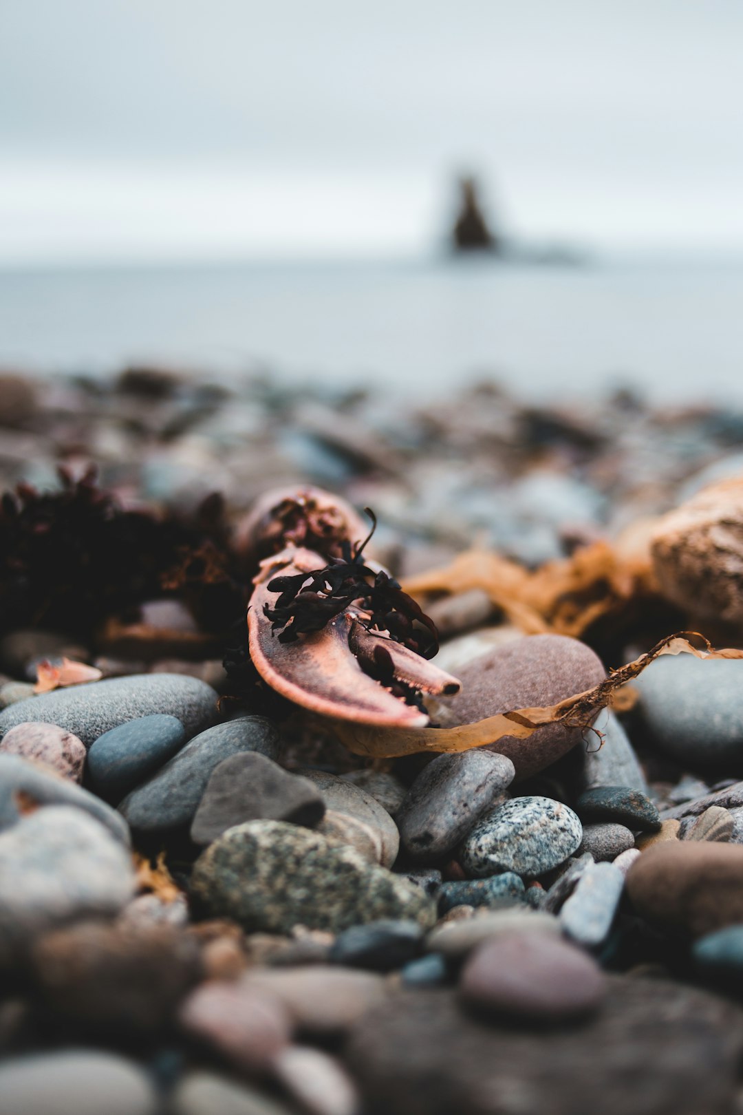 brown and black stones on beach shore during daytime