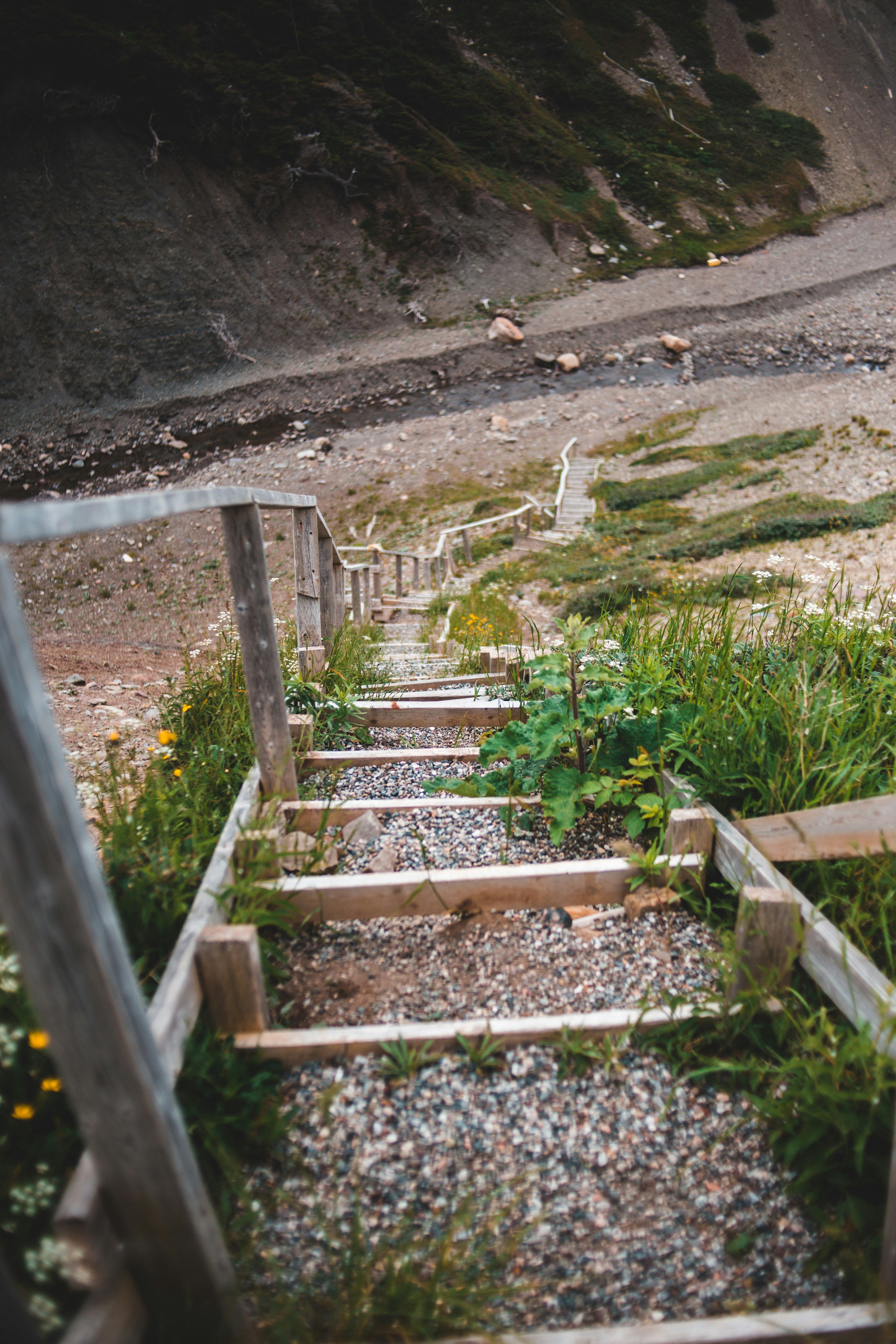 Photo by introspectivedsgn