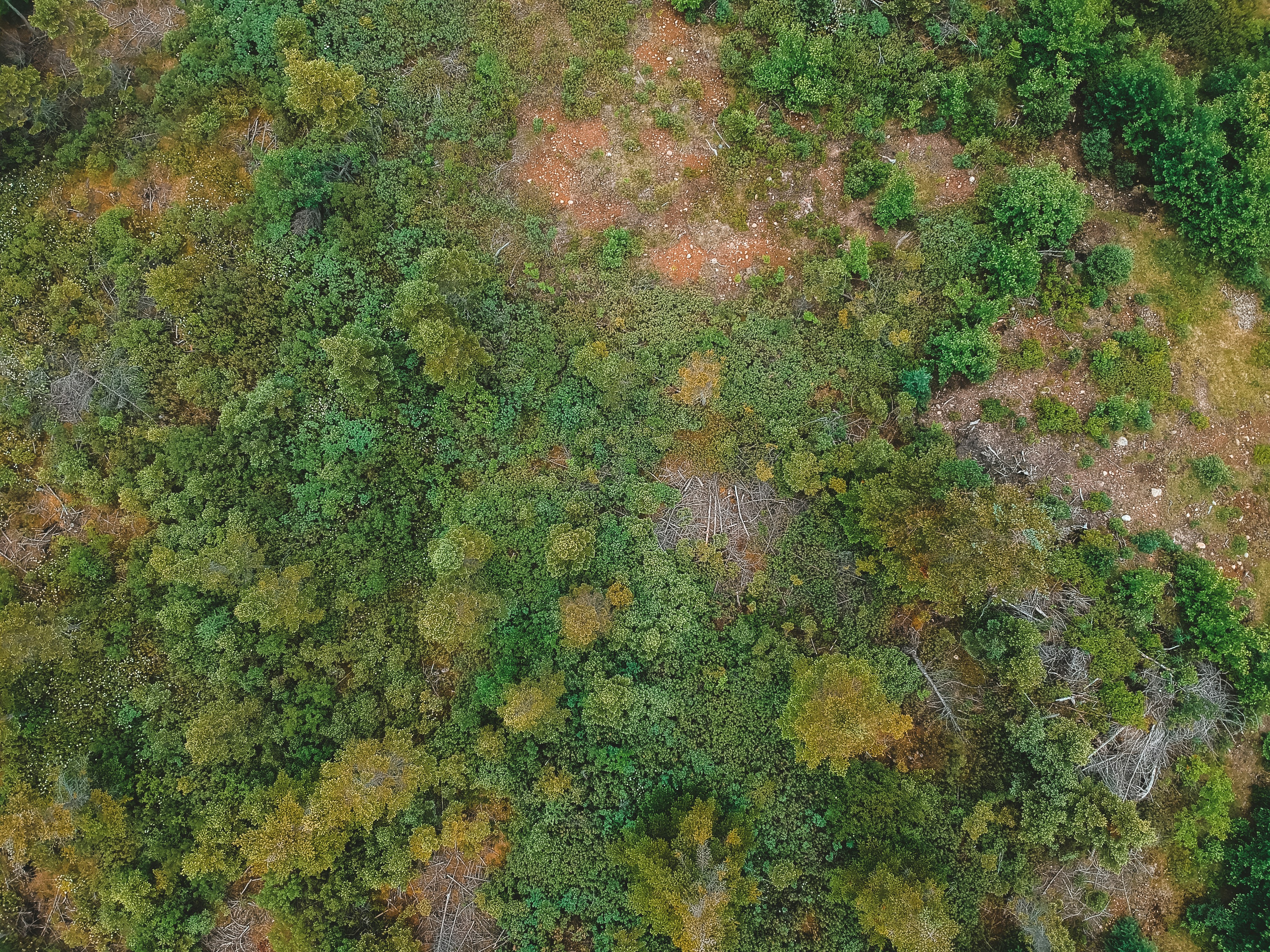 Photo by introspectivedsgn